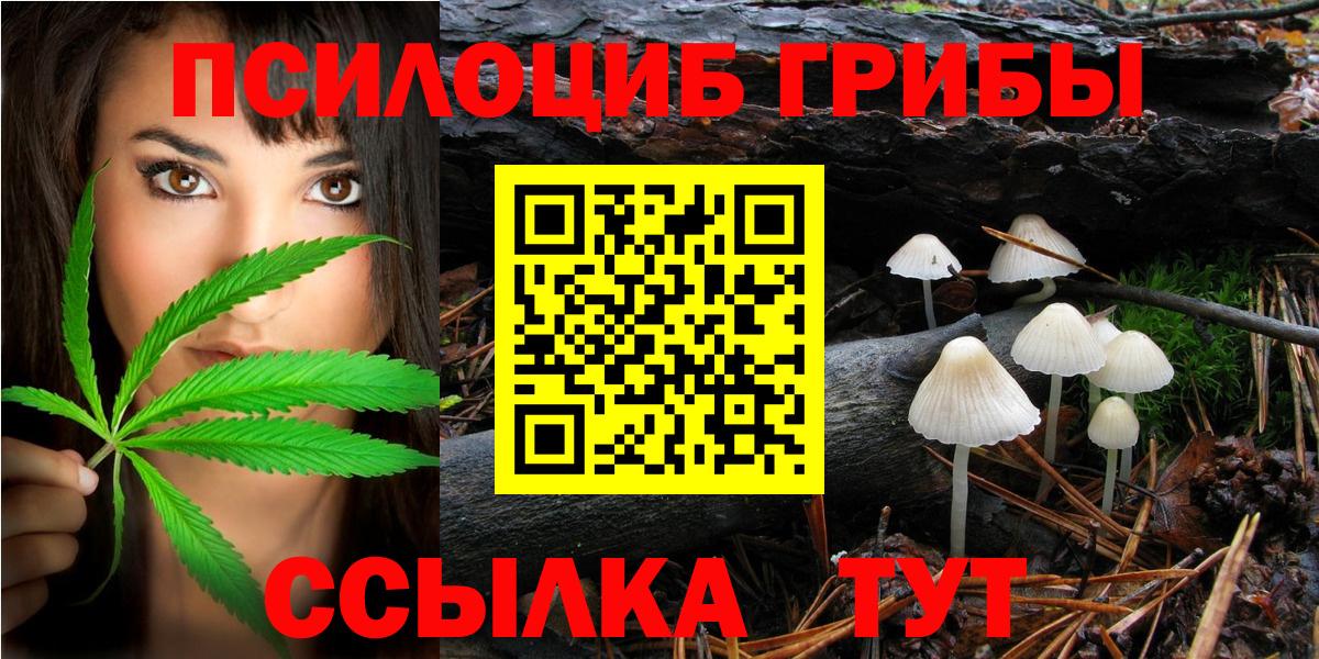 Псилоцибиновые грибы мухоморы Якутск